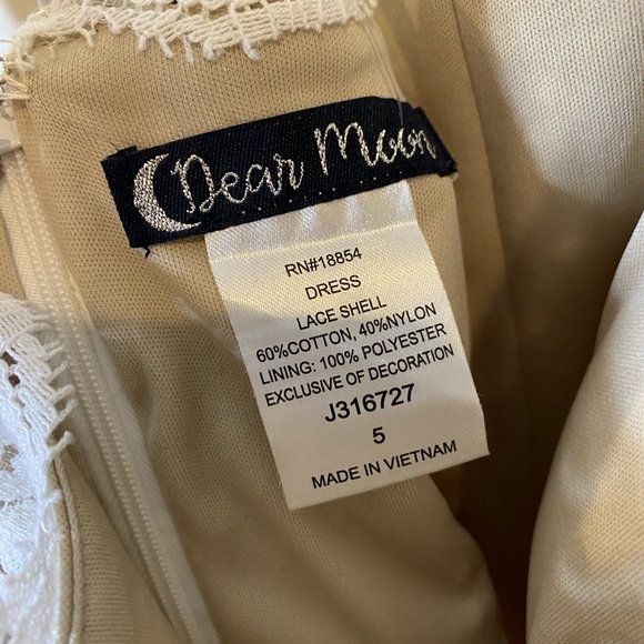 Dear Moon Lace Overlay Dress - Picture 3 of 4